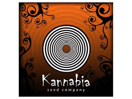 kanabbia