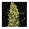 Screenshot 2025 11 25 at 15 44 56 Wappa GROWER.sk